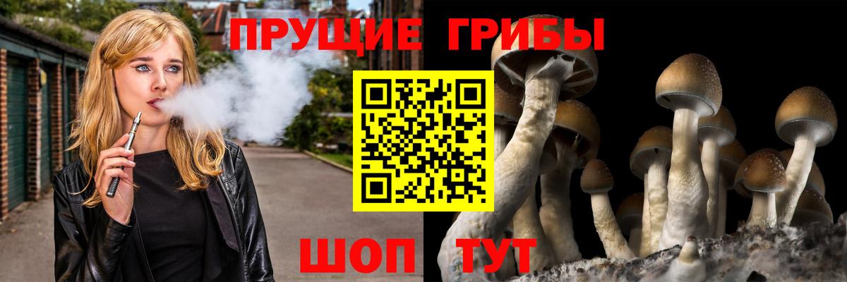 Подольск  цены наркотик  Вход с VPN  Псилоцибиновые грибы Magic Shrooms  Псилоцибиновые грибы мухоморы 